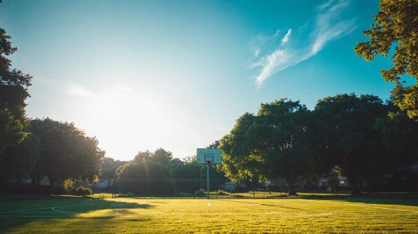 Top conseils pour sélectionner votre terrain de basket idéal